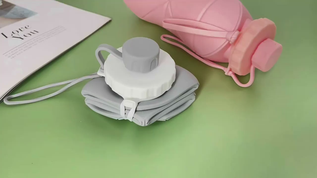 Charger la vidéo : 